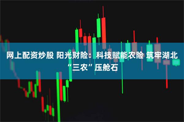 网上配资炒股 阳光财险：科技赋能农险 筑牢湖北“三农”压舱石