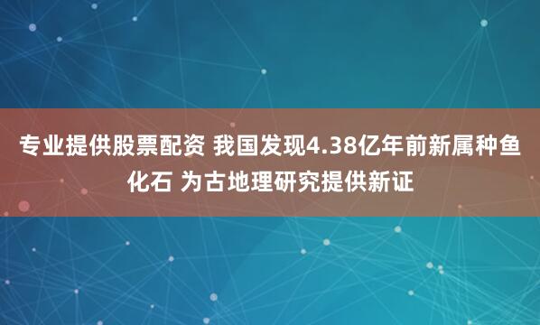 专业提供股票配资 我国发现4.38亿年前新属种鱼化石 为古地理研究提供新证