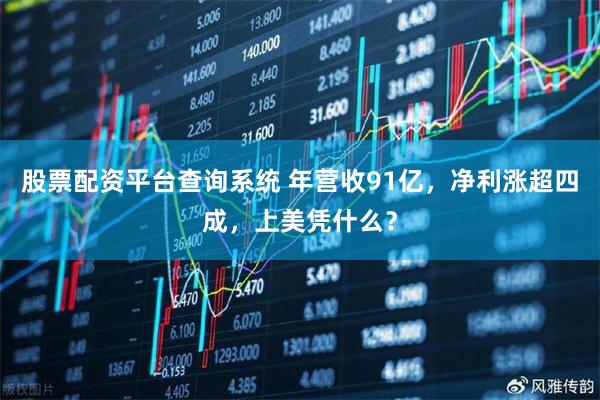 股票配资平台查询系统 年营收91亿，净利涨超四成，上美凭什么？